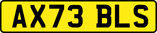 AX73BLS