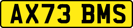 AX73BMS