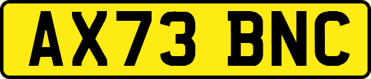 AX73BNC