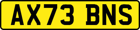 AX73BNS