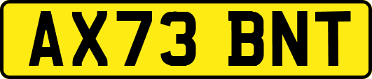 AX73BNT