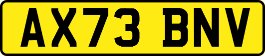 AX73BNV