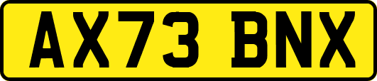AX73BNX
