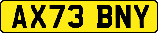 AX73BNY