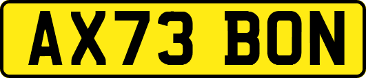 AX73BON