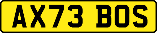 AX73BOS