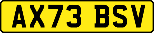 AX73BSV