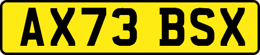 AX73BSX