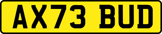 AX73BUD