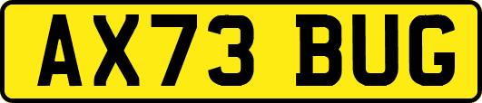 AX73BUG