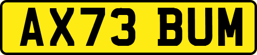 AX73BUM