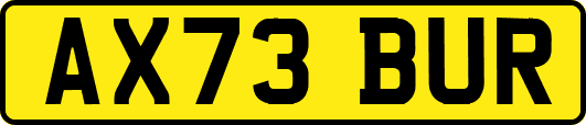 AX73BUR