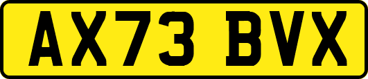 AX73BVX