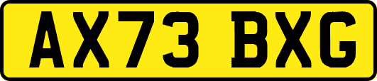 AX73BXG