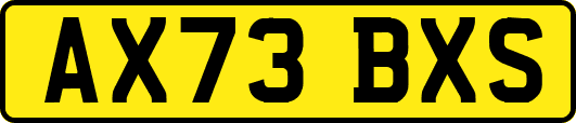 AX73BXS