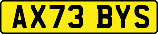 AX73BYS