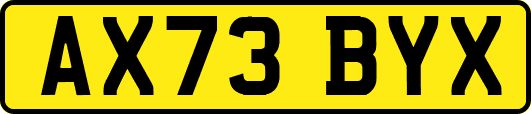 AX73BYX