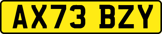 AX73BZY