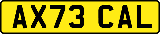 AX73CAL