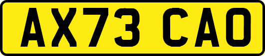 AX73CAO