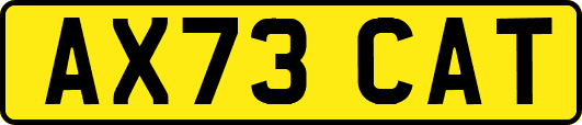 AX73CAT