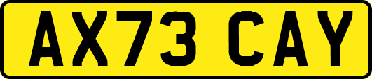 AX73CAY