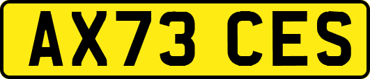 AX73CES