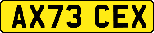 AX73CEX