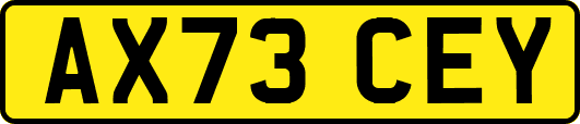 AX73CEY