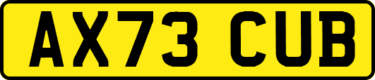AX73CUB