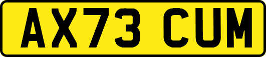 AX73CUM