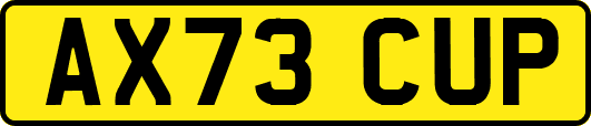 AX73CUP