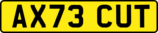 AX73CUT