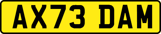 AX73DAM