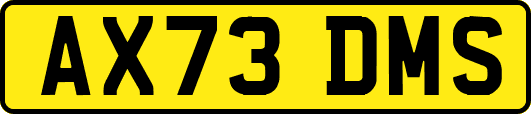AX73DMS