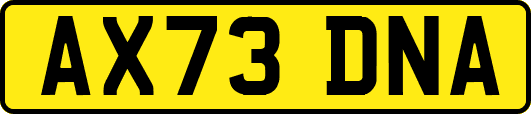 AX73DNA