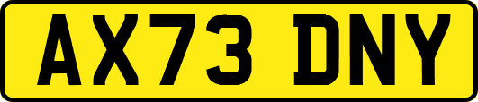 AX73DNY