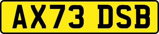 AX73DSB