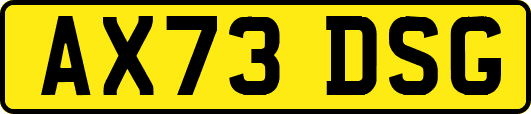 AX73DSG