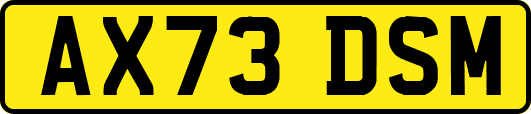 AX73DSM