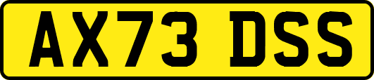 AX73DSS