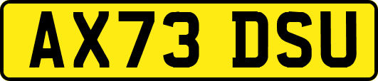 AX73DSU