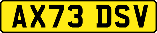 AX73DSV