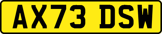 AX73DSW