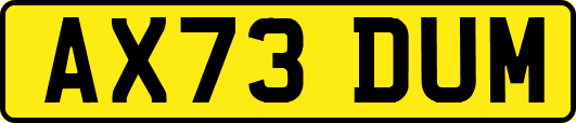AX73DUM