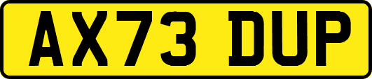 AX73DUP