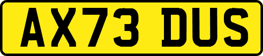 AX73DUS