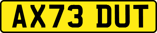 AX73DUT