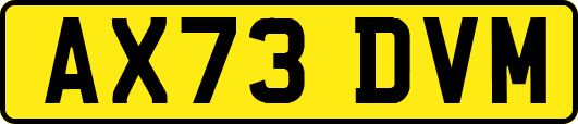 AX73DVM