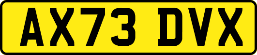 AX73DVX